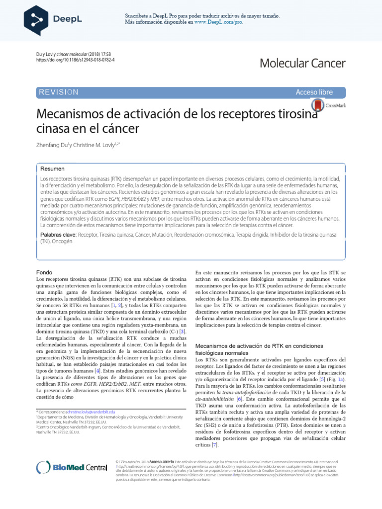 Mechanisms of Receptor Tyrosine Kinase Activation in Cancer Es | PDF ...