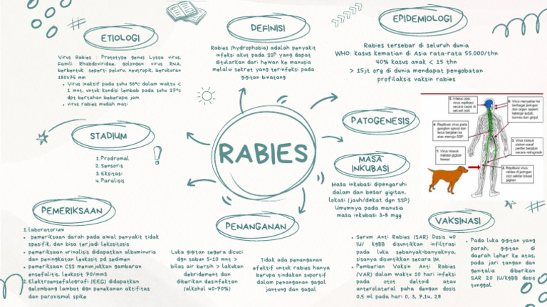Penanganan dan Vaksinasi Rabies Manusia | PDF