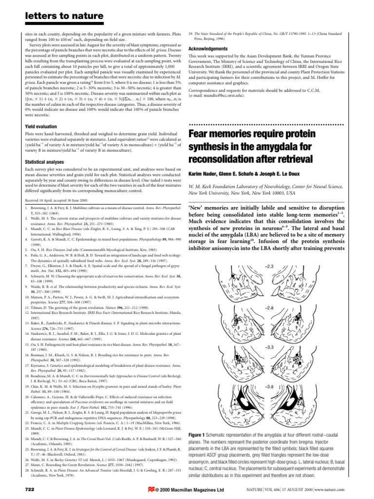 Protein Synthesis in Fear Memory Reconsolidation | PDF | Memory ...