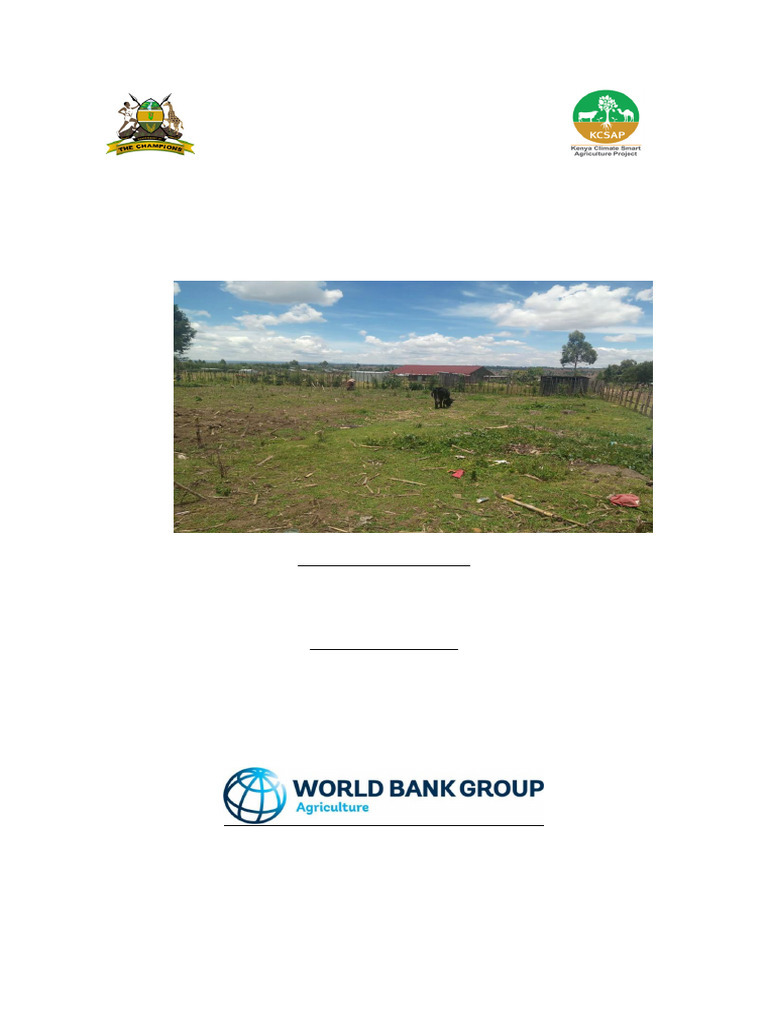 Ogiek Consortium Bee Keeping Project Report | PDF | Beehive ...