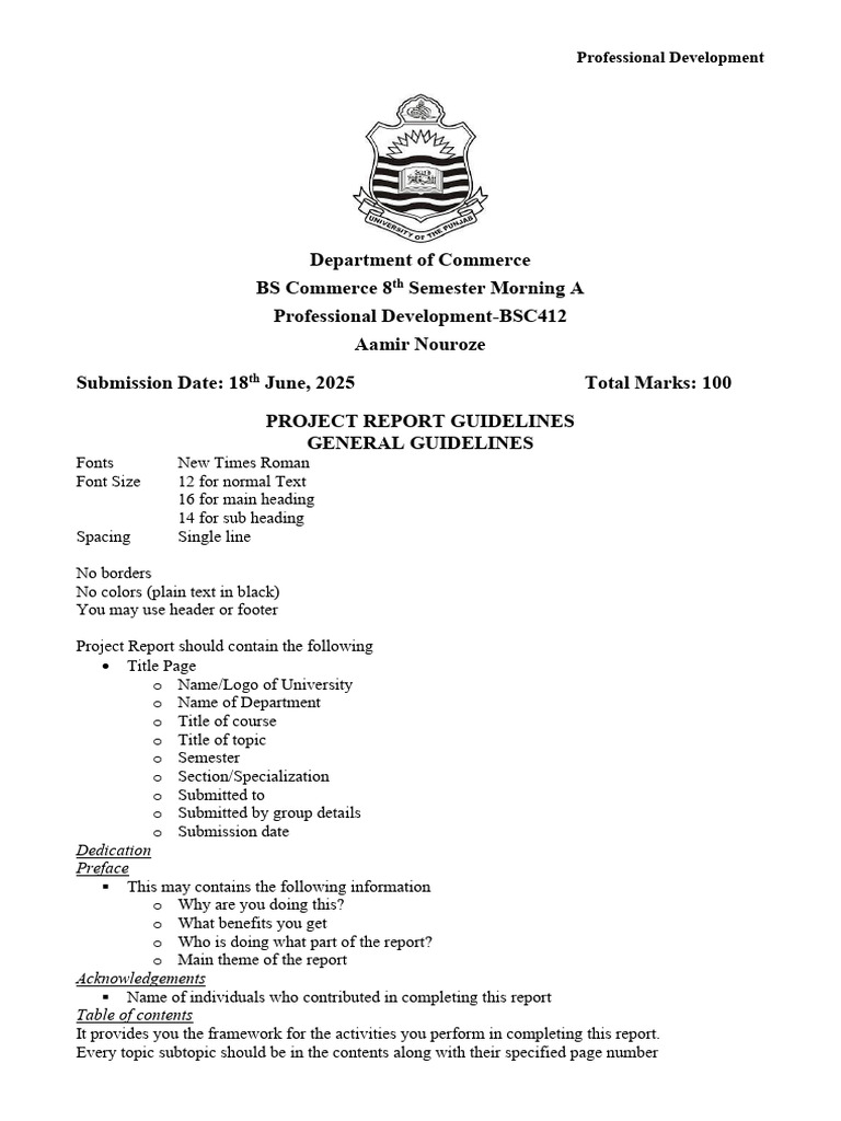 Professional Development Project Report | PDF | Publishing | Writing