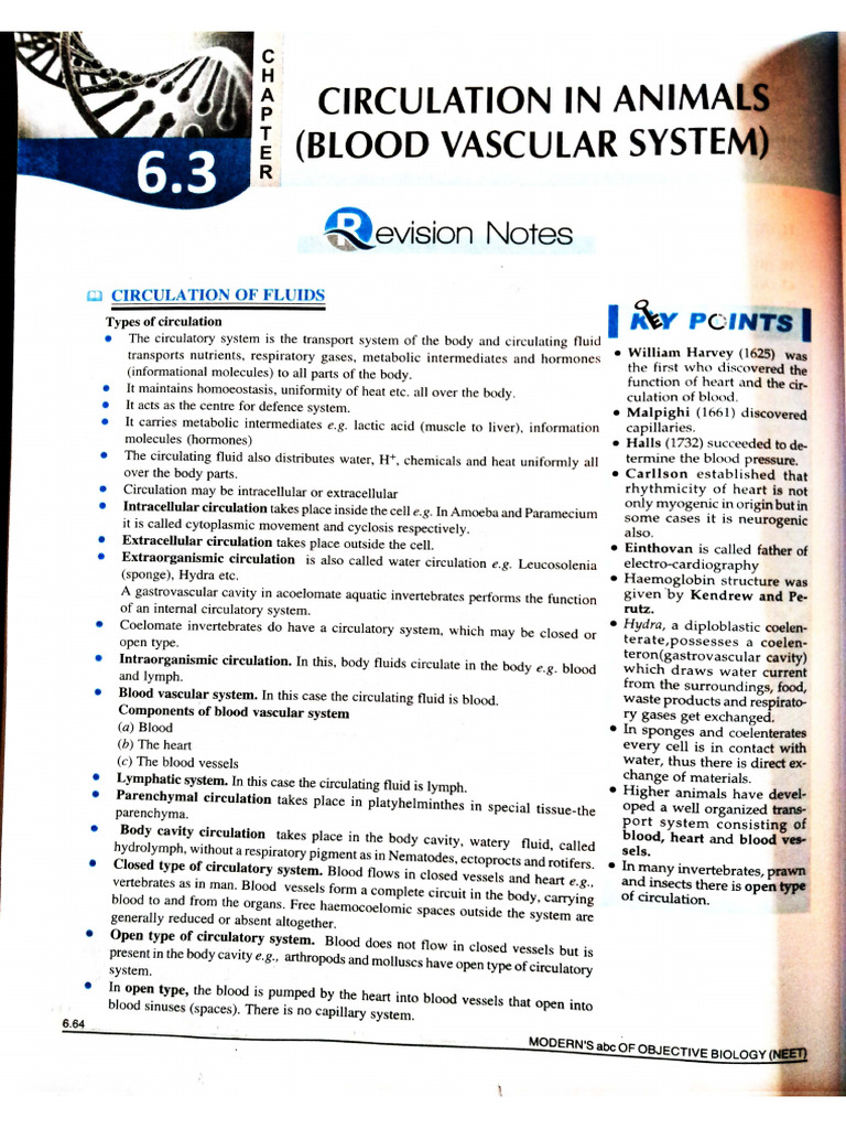 Objective Neet Bio Blood Vascular System | PDF