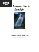 An Introduction To Zensight