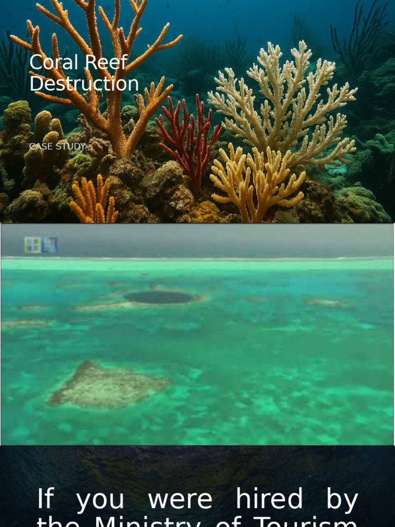 Coral Reef Degradation - Belize and Tobago | PDF | Coral Reef ...