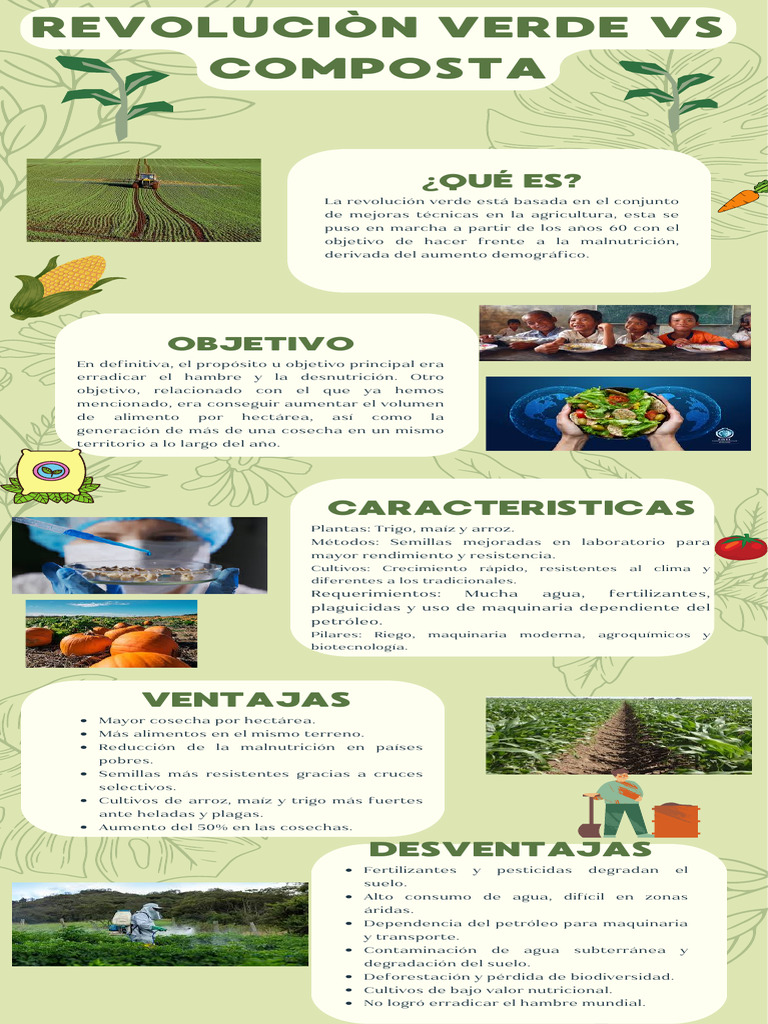 Infografia de La Revolucion Verde | PDF | Agricultura | Revolución verde