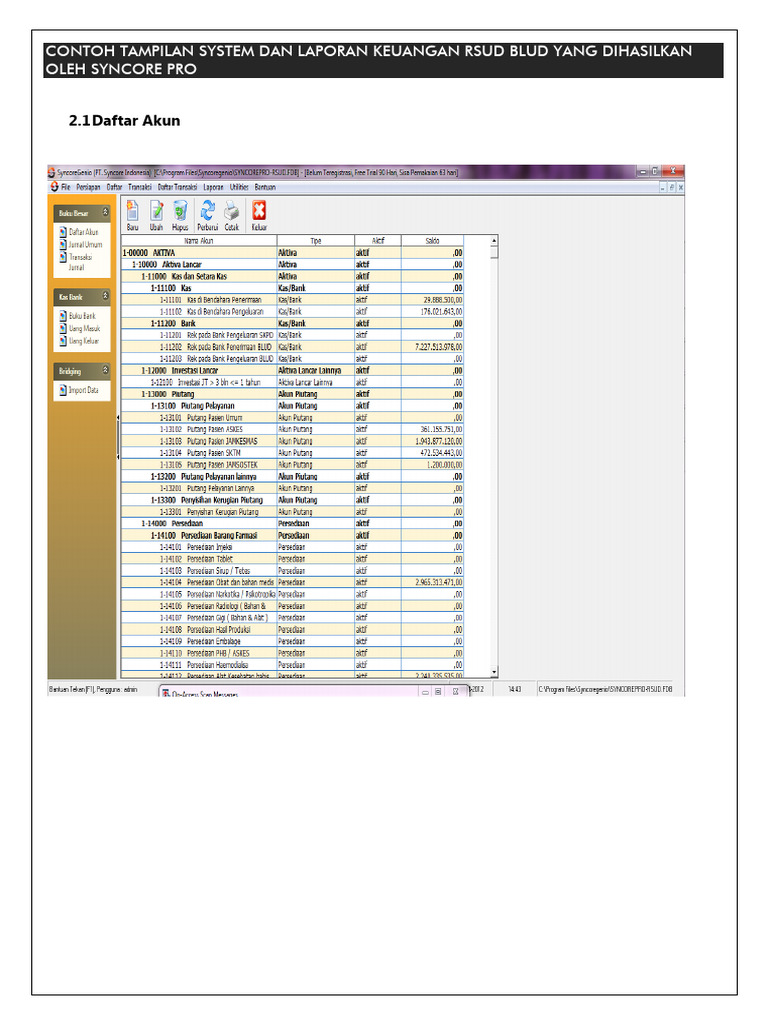 Laporan Keuangan RSUD BLUD SynCore Pro | PDF