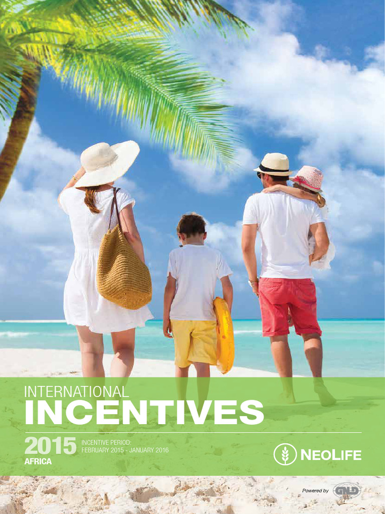 2015 International Incentives Overview | PDF