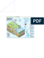 Carbon Storage Graphic