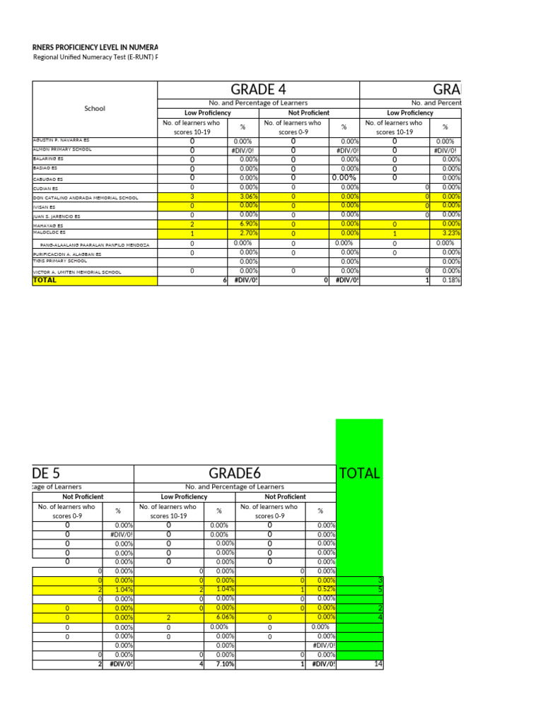 Learner Numeracy Proficiency Report | PDF