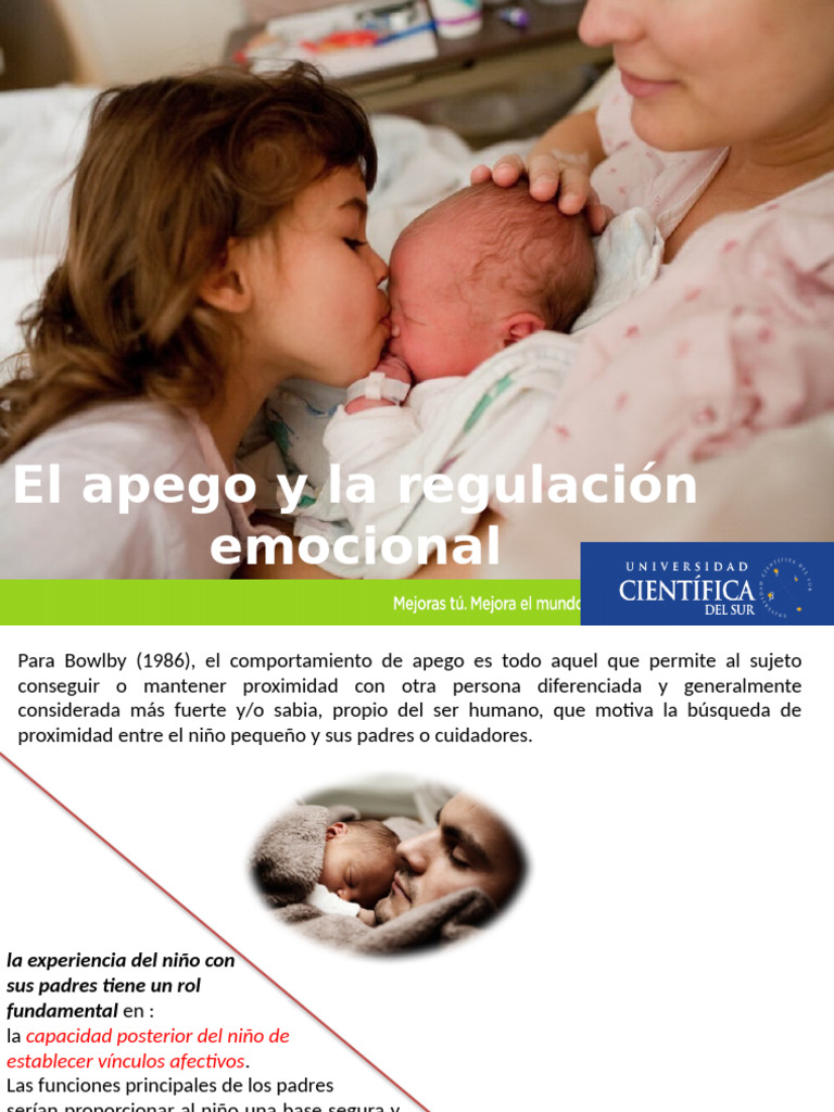 Clase 8 | PDF | Teoría de apego | Las emociones