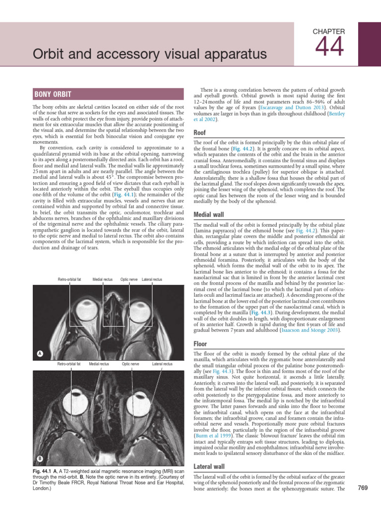 Orbit and Accessory Visual Apparatus | PDF | Primate Anatomy | Human ...
