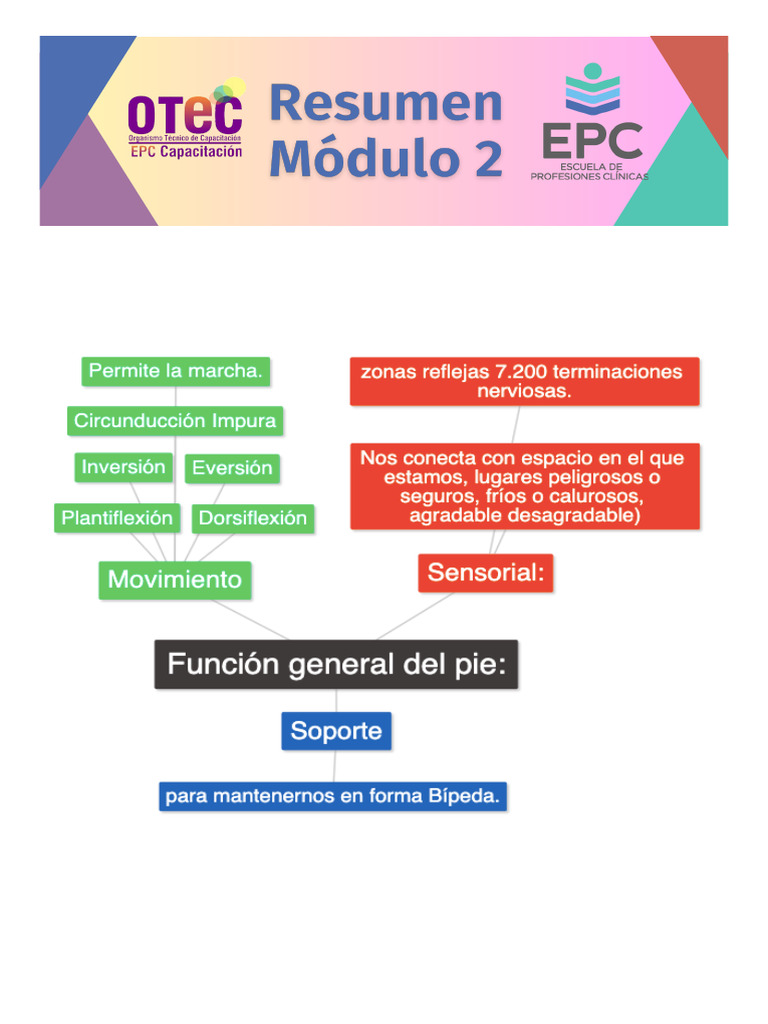 Resumen Módulo 2 | PDF