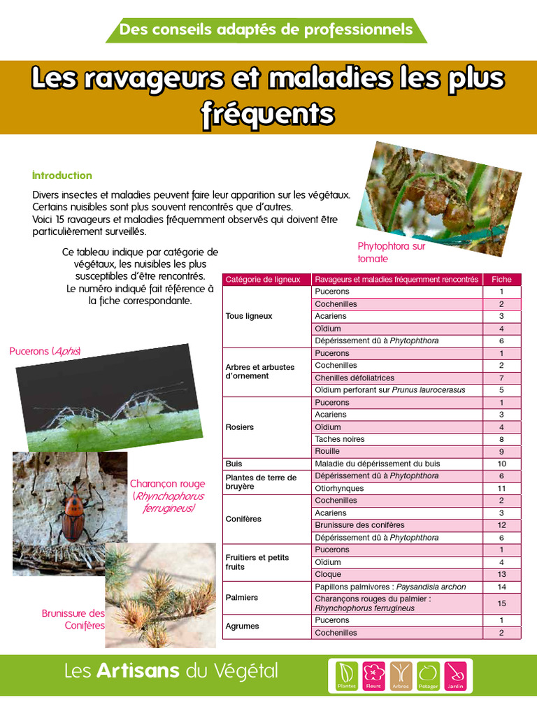 Ravageurs et maladies des végétaux | PDF | Plantes | Feuille