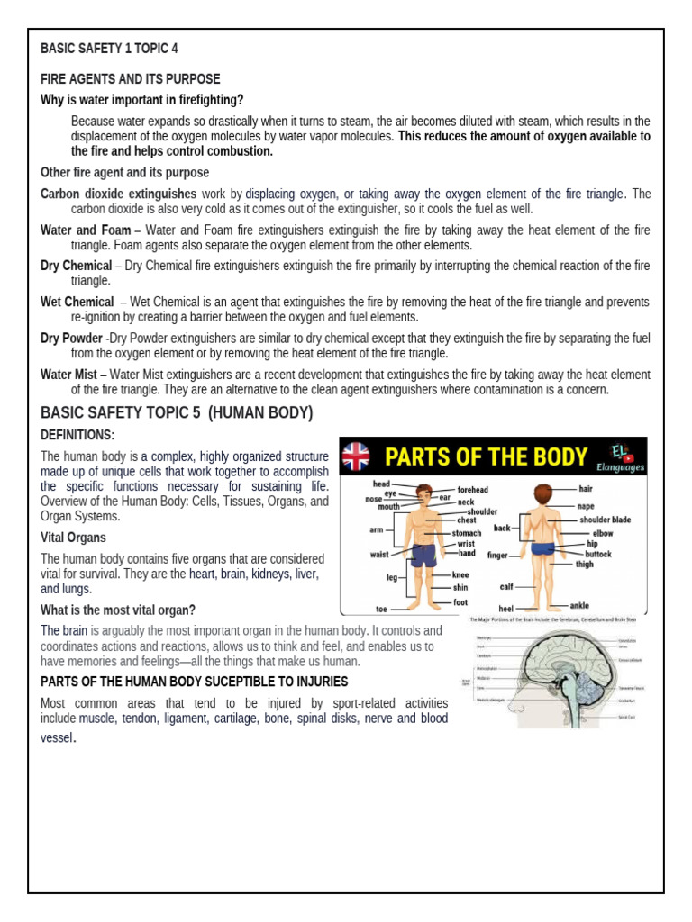 Basic Safety 1 Topic 5 Human Body | PDF | Fires | Human Body