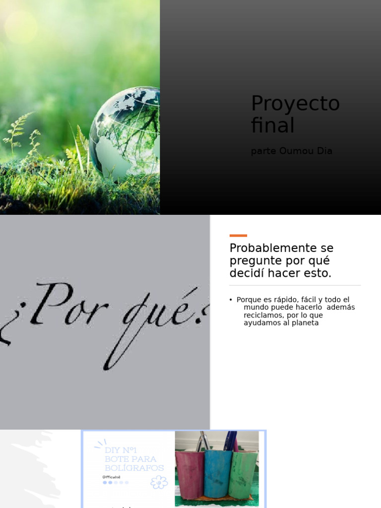 Proyecto Final | PDF
