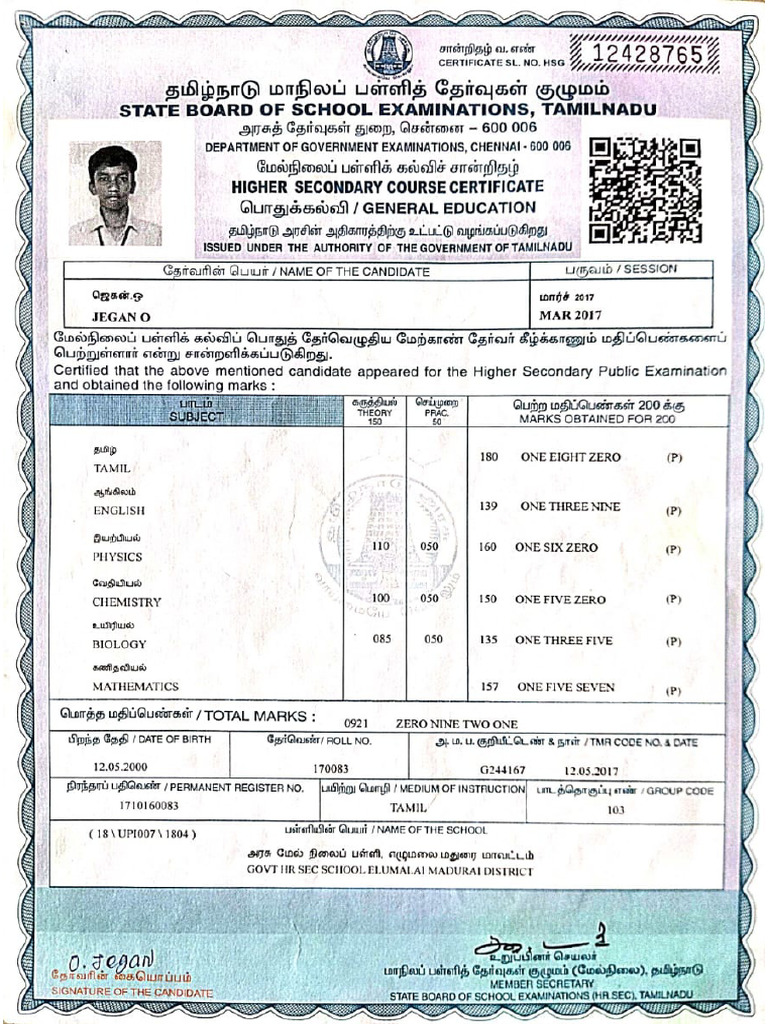 12 Marksheet | PDF