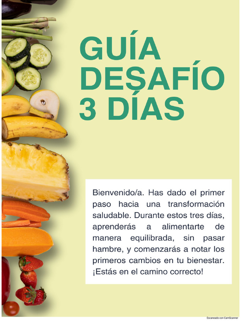 Guia Desafio de 3 Días | PDF