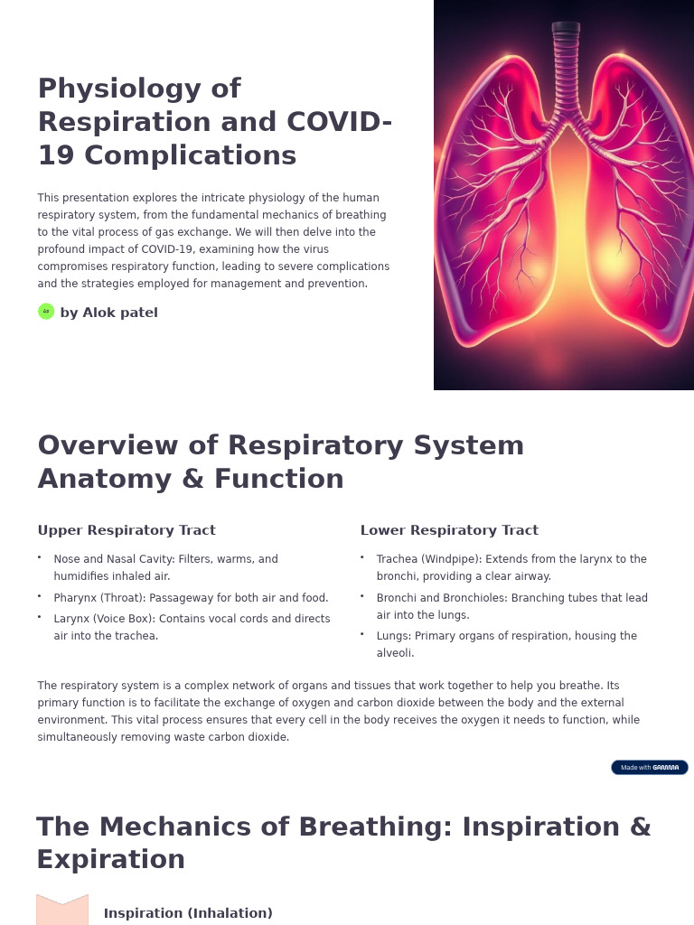 Physiology of Respiration and COVID 19 Complications | PDF ...
