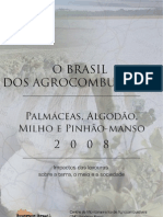 o Brasil Dos Agrocombustiveis v2