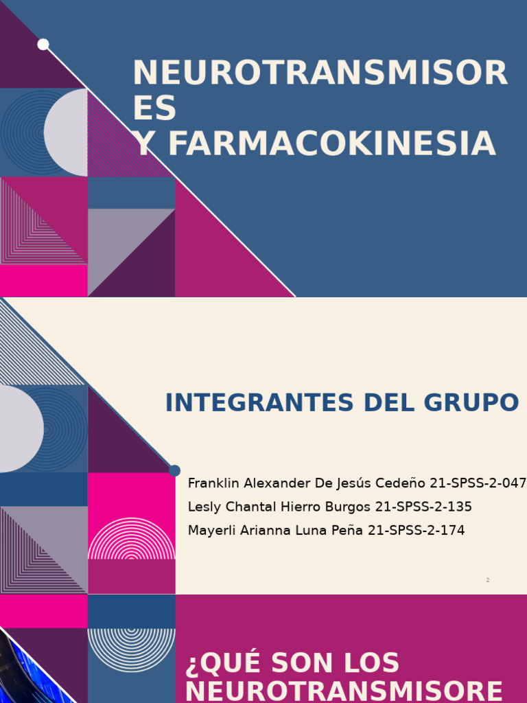 Neuro Transm I Sores | PDF | Benzodiazepinas | Neurofisiología