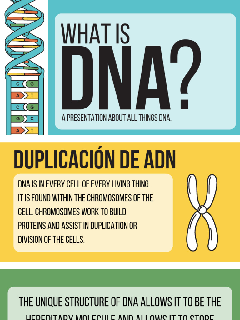 DNA Biology Science Education Presentation in Blue Orange Illustrated ...
