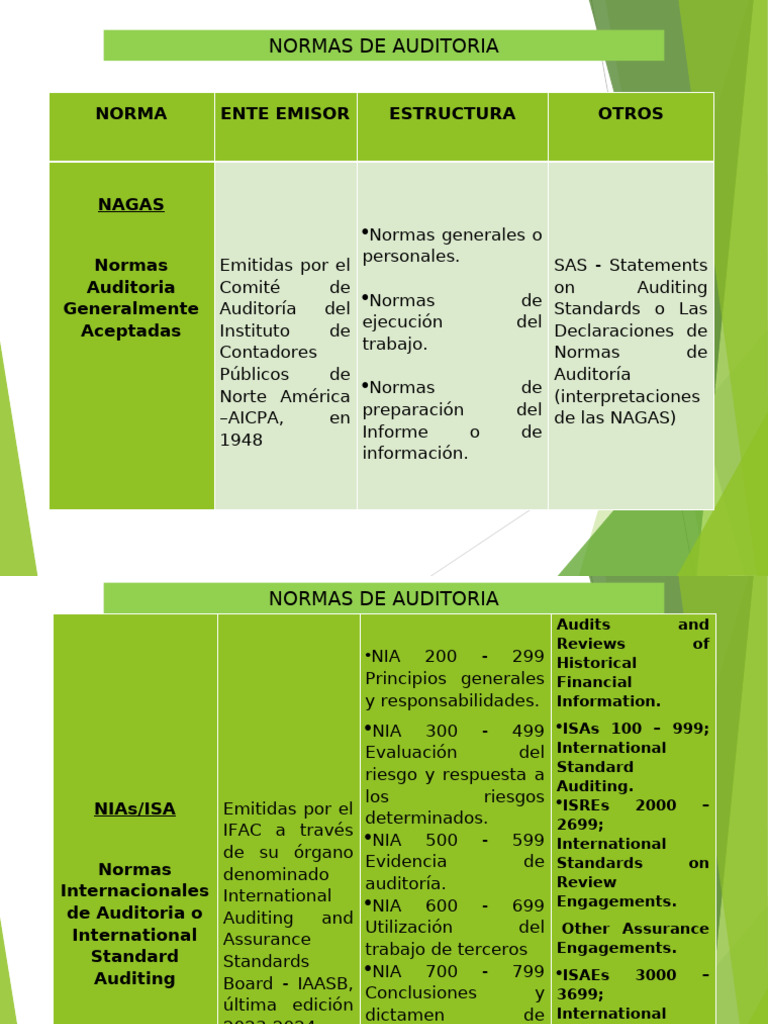 Normas de Auditoría: NAGAS, NIAs y NGAI | PDF | Auditoría financiera ...