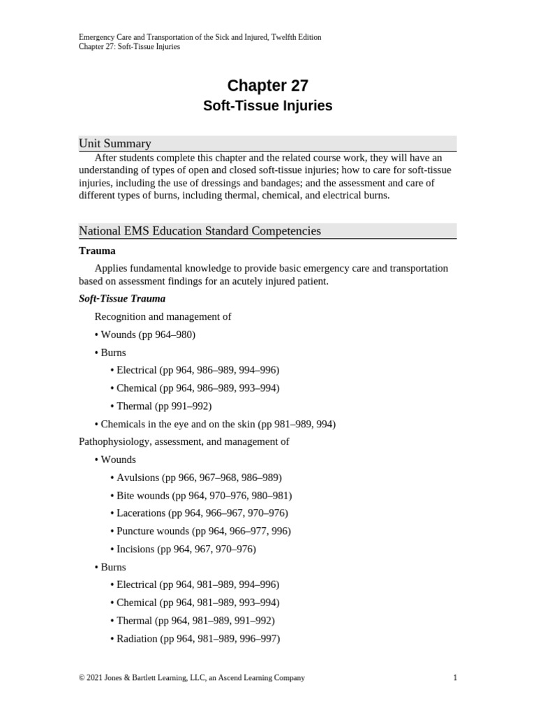 Lout CH27 | PDF | Burn | Wound Healing