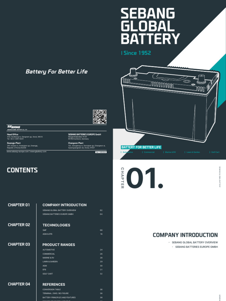 Sebang Global Battery Overview | PDF | Energy Storage | Galvanic Cells