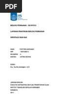 Download LAPORAN HIPOFISA by Syayyida Muslimah SN87890950 doc pdf