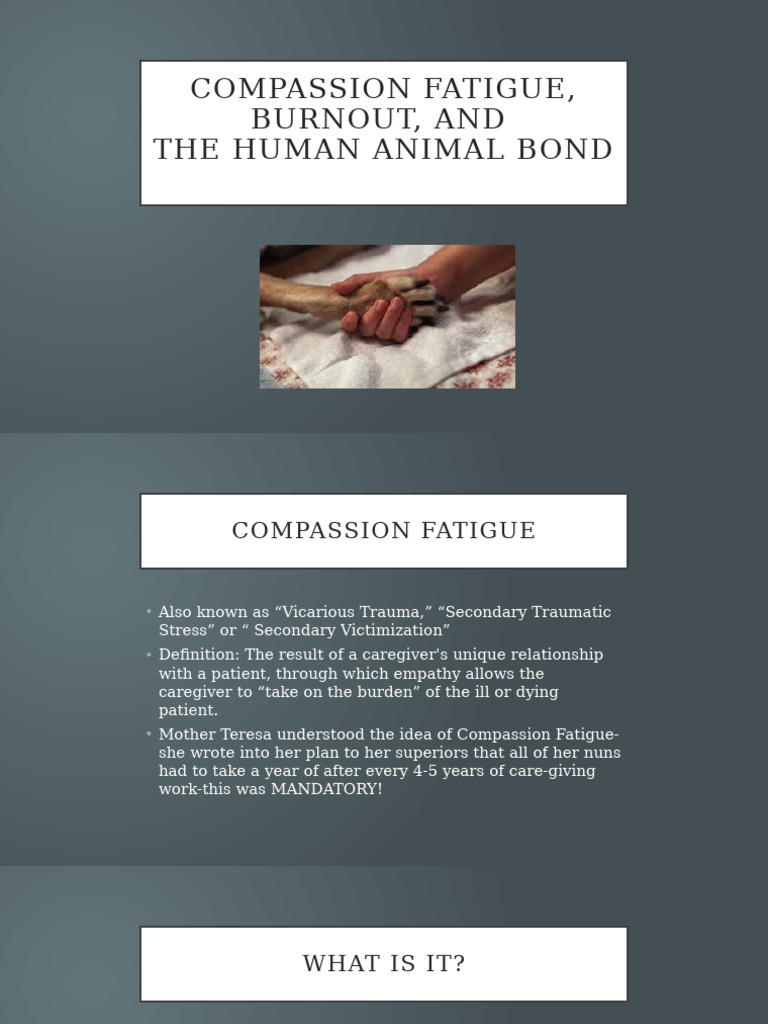 Compassion Fatigue and Euthanasia | PDF | Empathy | Psychology