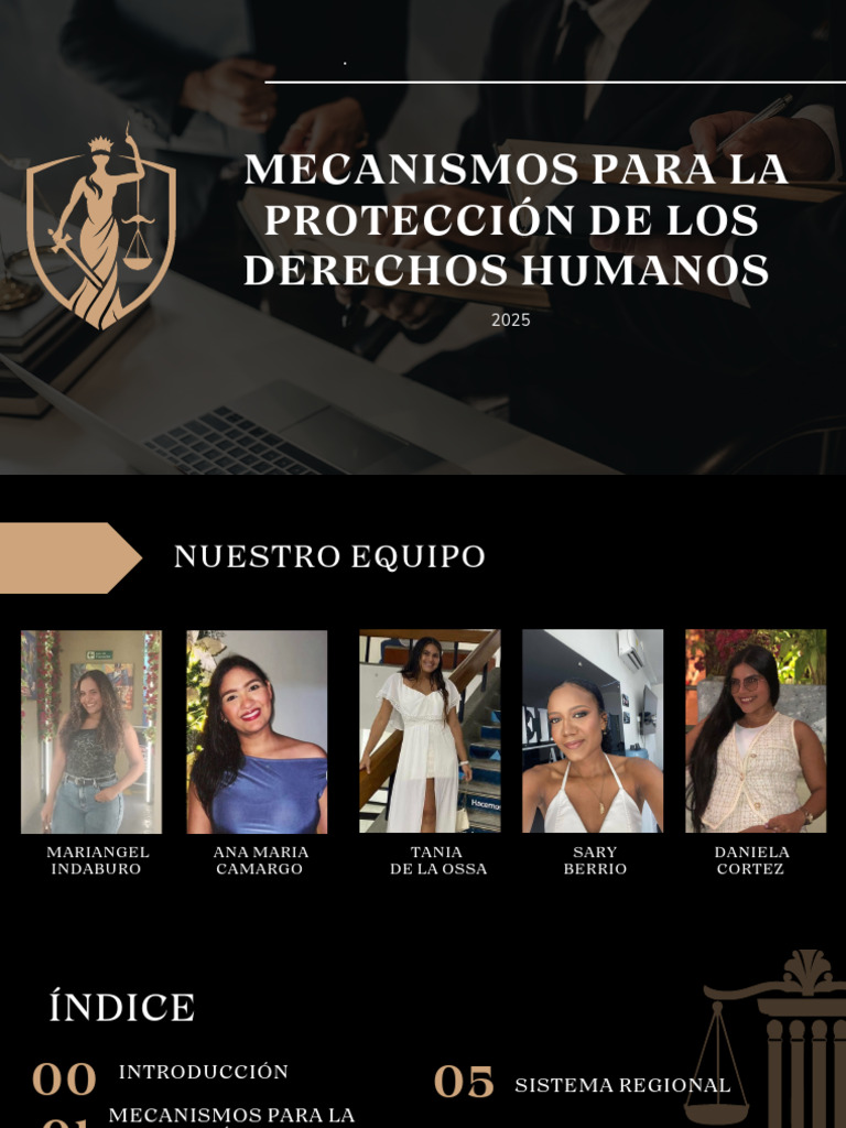 Mecanismos para La Proteccion de Los Derechos Humanos | PDF | Derechos ...