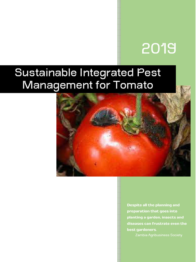 Sustainable Pest Management for Tomatoes | PDF | Pest (Organism ...