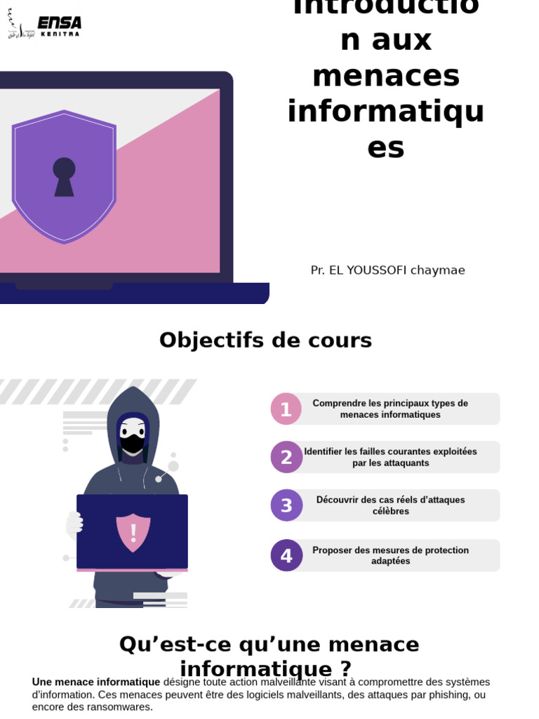 Comprendre les Menaces Informatiques | PDF | Logiciel malveillant ...