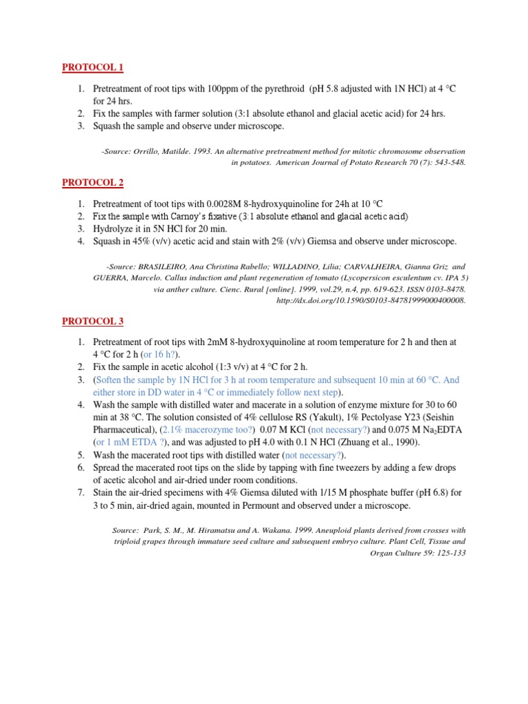 Onion Root Tip Mitosis Protocols | PDF | Staining | Fixation (Histology)