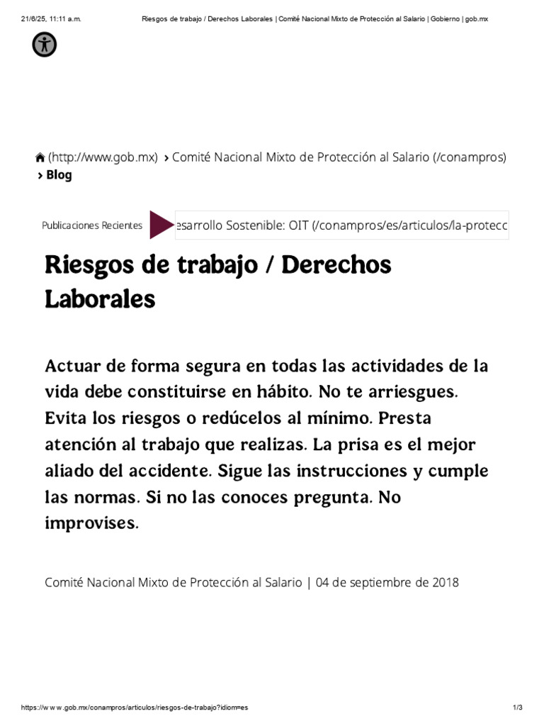 Riesgos de Trabajo - Derechos Laborales - Comité Nacional Mixto de ...
