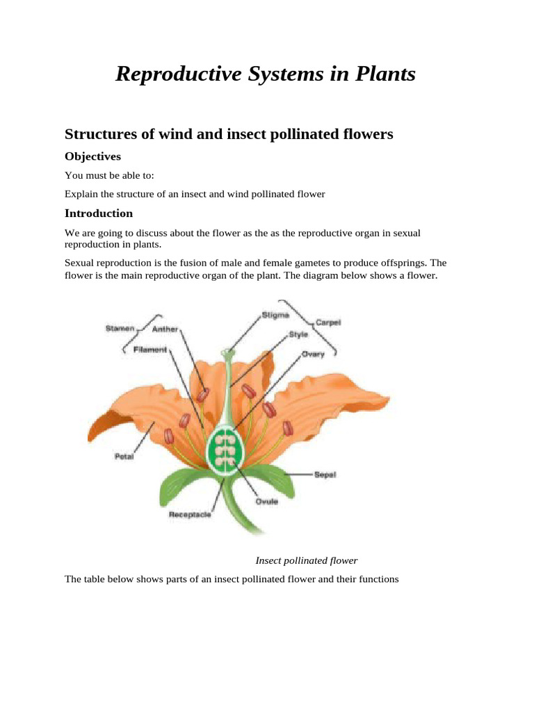 Wind vs Insect Pollinated Flowers | PDF