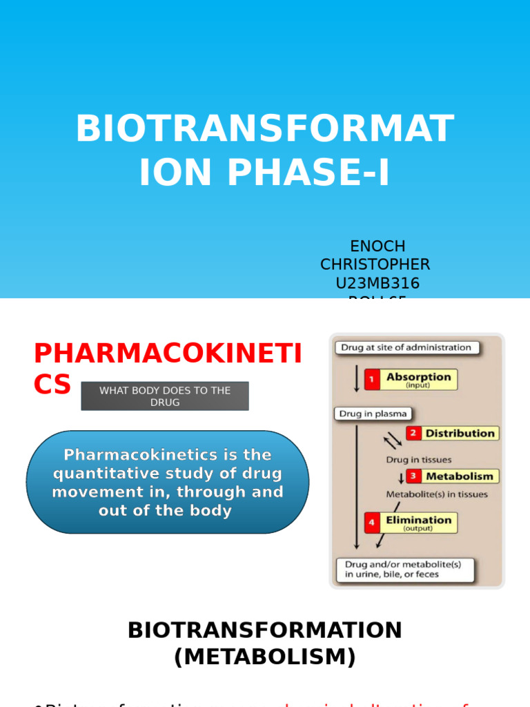 Phase I Biotransformation Overview | PDF | Drug Metabolism | Cytochrome ...