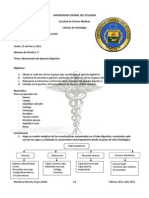 Informe Dig 1