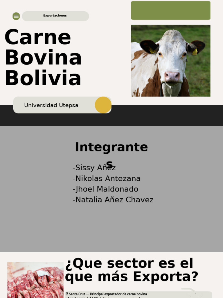 Exportaciones de Carne Bovina en Bolivia | PDF | Bolivia | Carne