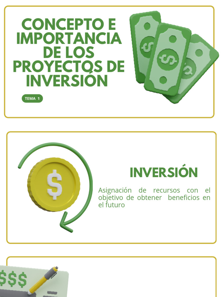 Proyectos de Inversión y Planes de Negocios | PDF | Business | Inversiones