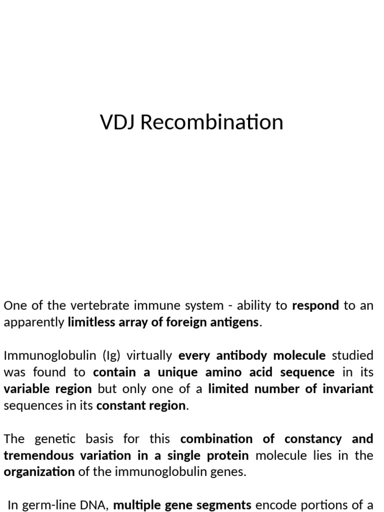 VDJ Recombination in B Cell Development | PDF | Antibody | B Cell