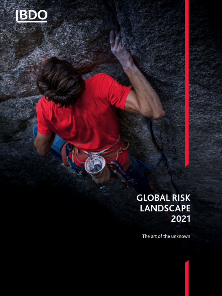 2021 Global Risk Landscape Report | PDF | Risk | Analytics