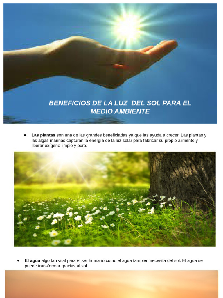 Beneficios de La Los Elementos Naturales para El Ser Humano | PDF