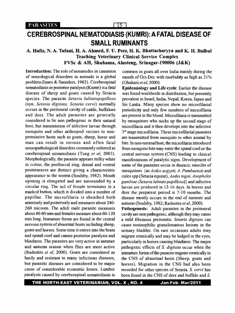 Hafiz Et Al 2013 Cerebrospinal Nematodiasis (Kumri) A Fatal Disease of ...