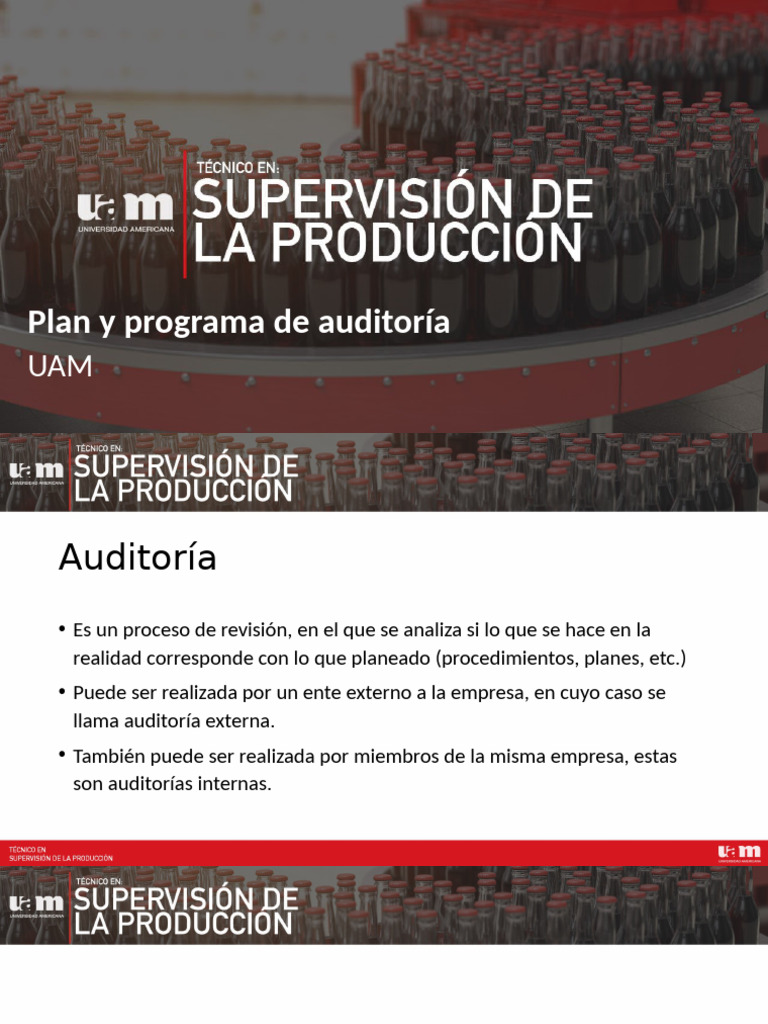 M3. Plan y Programa de Auditoría | PDF | Auditoría | Contralor