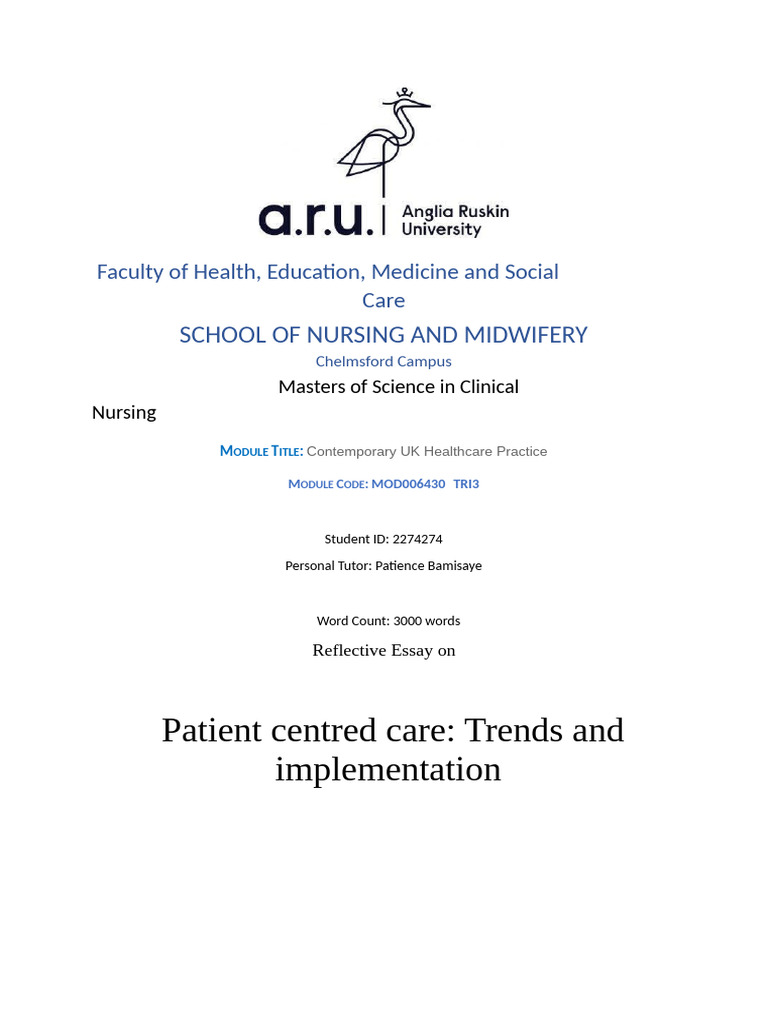 Annotated-Patient Centred Care Reflective Essay | PDF | Health Care ...