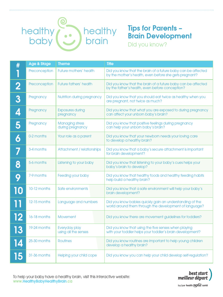 Healthy Baby Brain Development Tips | PDF | Infants | Pregnancy