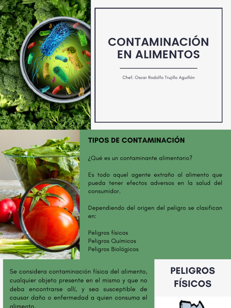 Inocuidad y Calidad de Los Alimentos PDF | PDF | Alimentos | Contaminación