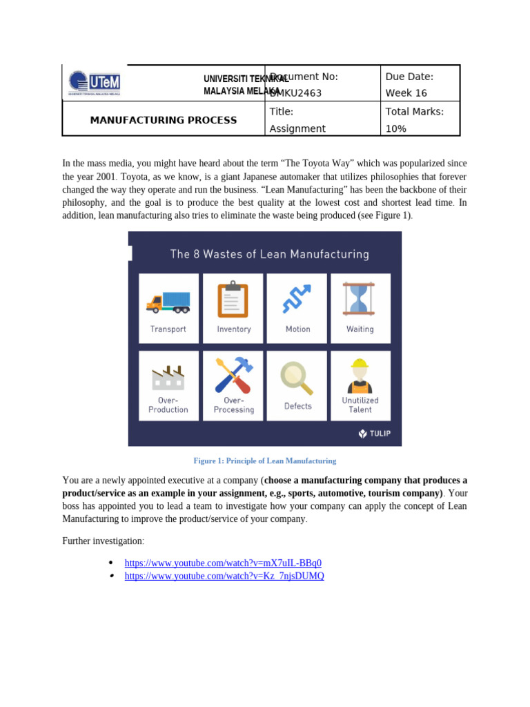 SAMPLE HOMEWORK OR ASSIGNMENT ABOUT LEAN MANUFACTURING PROCESS visual data 4