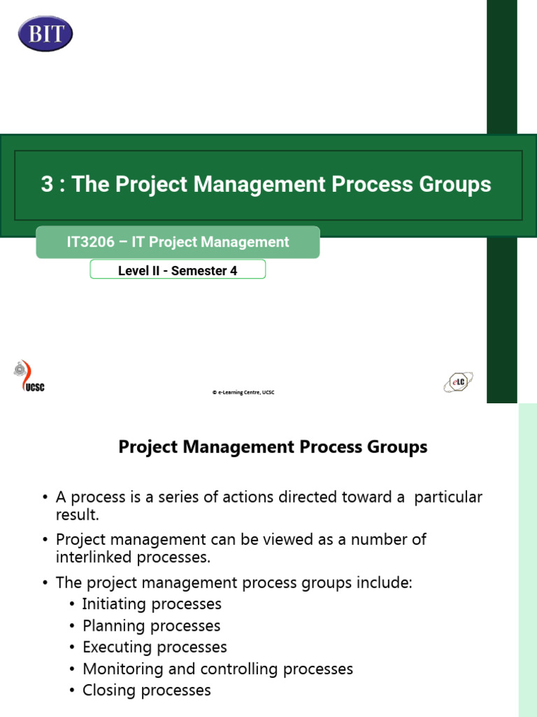 Project Management Process Groups Overview | PDF